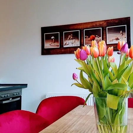 Villa Appartements Syke Apartment *
